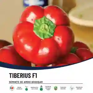 TIBERIUS F1