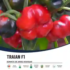 TRAIAN F1