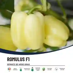 ROMULUS F1