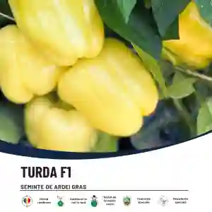 TURDA F1