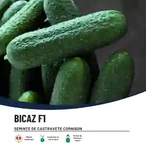 BICAZ F1