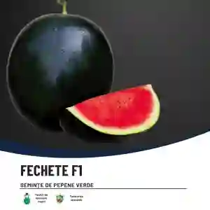 FECHETE F1