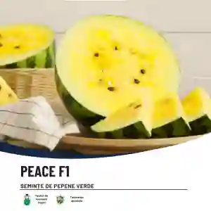 PEACE F1