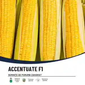 ACCENTUATE F1