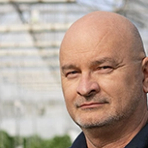 Zoltán MOLDVAI