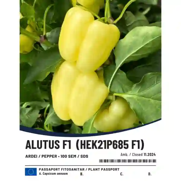 ALUTUS F1-main