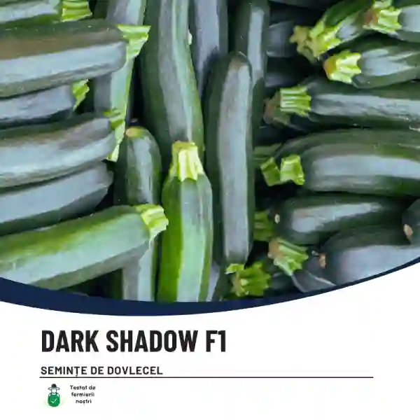 DARK SHADOW F1-main