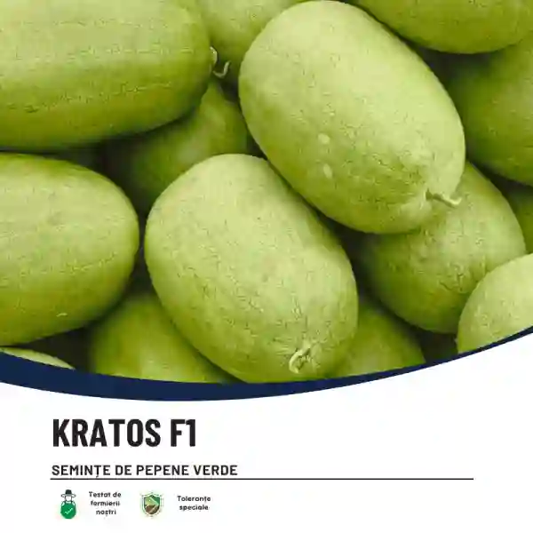KRATOS F1-main