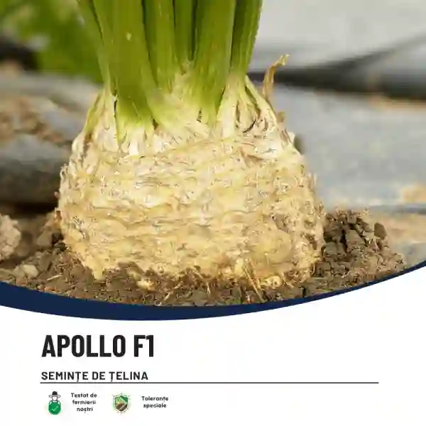 APOLLO-main